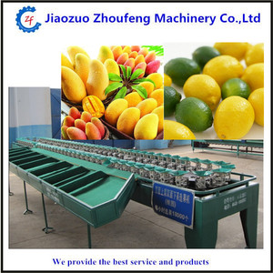 Máquina automática de Clasificación industrial de frutas, clasificación de arándanos