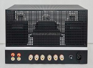 חדש סגנון 300B-98 HIFI בית אודיו מגבר צינור למכירה