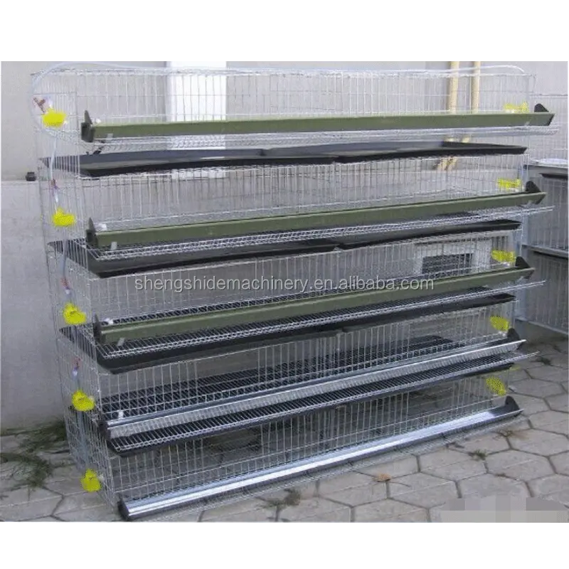 Cage à caille en métal approuvé ISO, cage à caille avec couches d'oiseaux de haute qualité