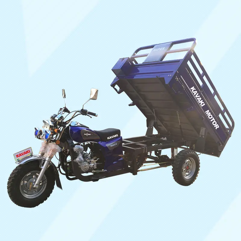 Industriale Elettrico 3 Ruote Mobilità Scooter/Cargo Bike/Benzina Per Adulti A Tre Ruote Moto Made in China