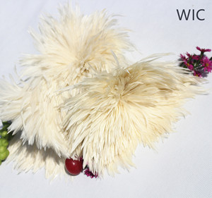 2019 Toptan Beyaz Strung Rooster Eyer/<span class=keywords><strong>Hackle</strong></span> Tüyü Abartı