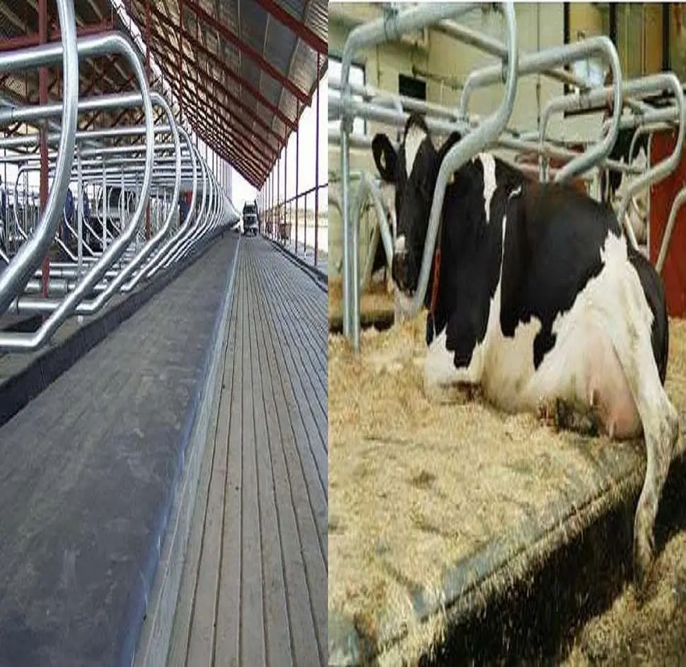 Estera de cama de vaca de goma cómoda para ganado agrícola, Granero y suelo de goma estable para vacas y caballos