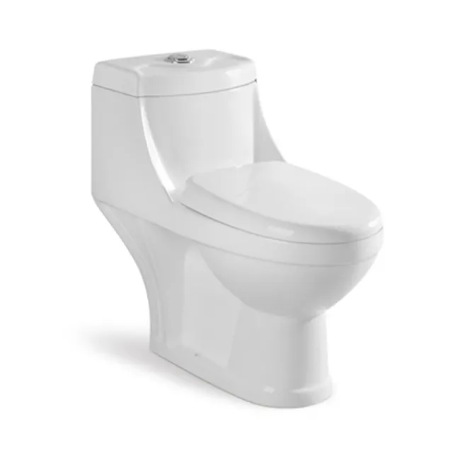 Western WC Toilet Standard Size Ceramic Sanitary Ware Set Brands Two Piece Toilet