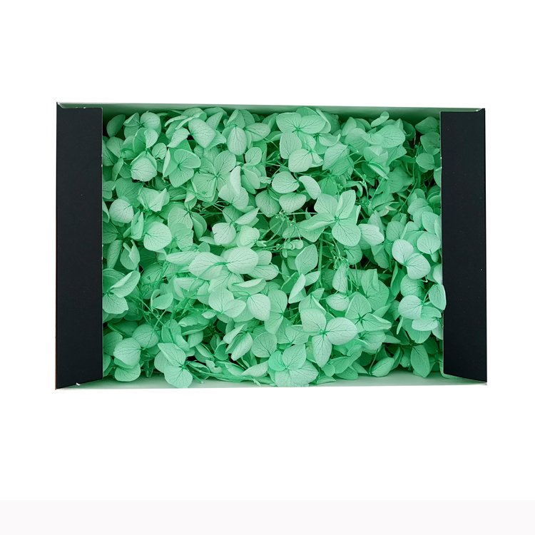 Menta