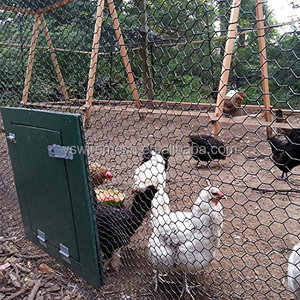Zincato a caldo Rete Metallica Esagonale Netto per il Pollame Fattoria