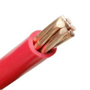 3.5mm2 5.5mm2 8.0mm2 14mm2 22mm2 30mm2 38mm2 50mm2 125mm2 250mm2本鎖の電線Philippines市場 - Product Image 2