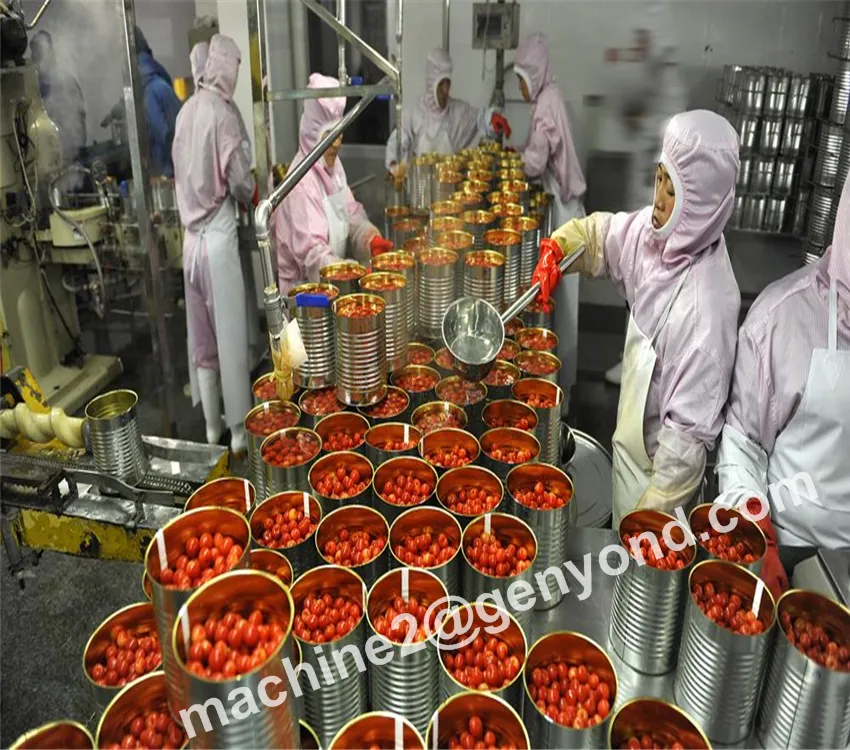 20% tagliare marmellata di frutta linea di produzione gold supplier