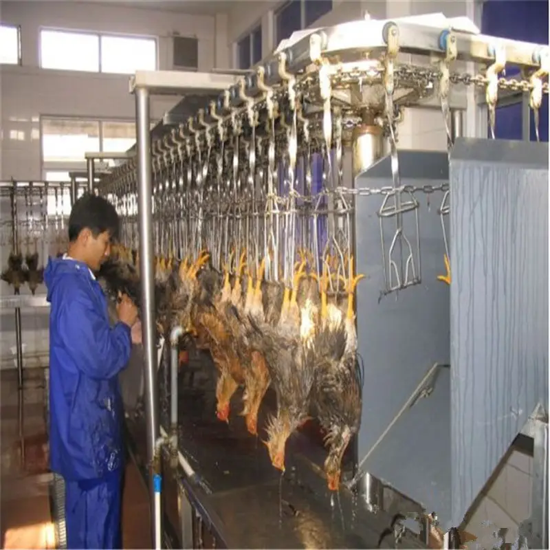 肉屋機械加工ラインハラール家禽鶏肉食肉処理装置