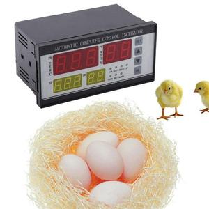 Microordenador automático XM18, controlador de temperatura y humedad, Incubadora, instrumento de incubación de huevos OEM personalizable - Product Image 3