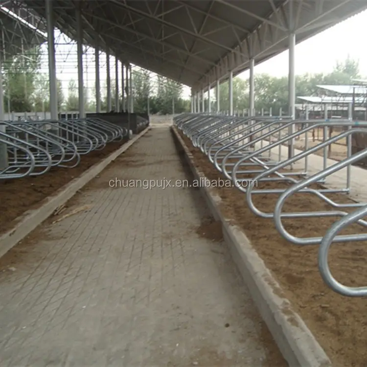 Hot-dipped Galvanized Single Row Cattle Free Stall