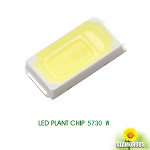 <span class=keywords><strong>LED</strong></span>チップ2835 5730 0.2w 0.5wクールホワイト5500-6500ルーメン140lm/ワット