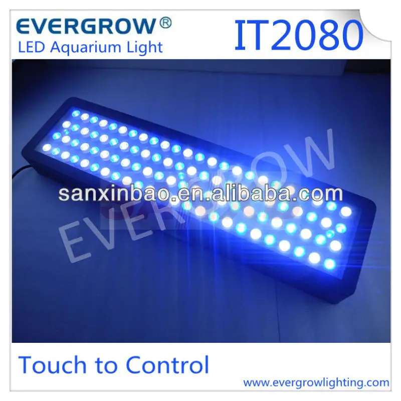 Evergrow IT 2080 — lumière LED pour aquarium, contrôle du spectre complet, compatible avec réservoir de poissons d'eau salée