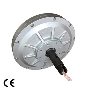 TGET320-1.2kW-320R 无芯 PMG 发电机/风力发电机外部转子发电机，三相永磁发电机 - Product Image 2