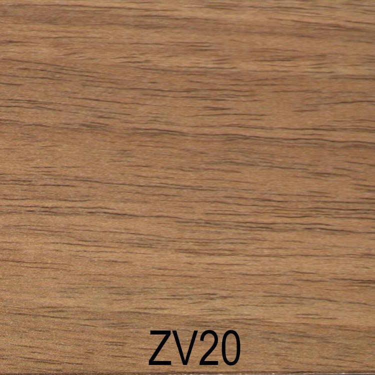 ZV20