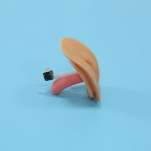 BIX-H1Dmedical Science <strong>Human</strong> Simulation Urethral Catheterization and Enema Training Model for Teaching and Learning Anatomy - Product Image 2