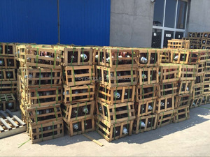 Điện Áp cao Đĩa Sứ Cách Điện với Cap và Pin/loại Hệ Thống Treo Gốm Cách Điện - Product Image 3