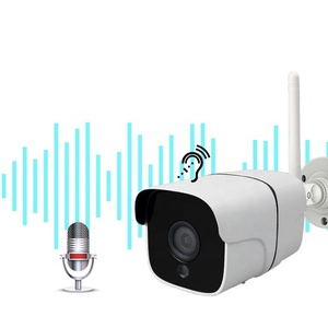 Tarjeta SIM 4G LTE, cámara IP CCTV de seguridad con visión nocturna, micrófono incorporado, tarjeta de memoria, opciones de almacenamiento, Sensor CMOS