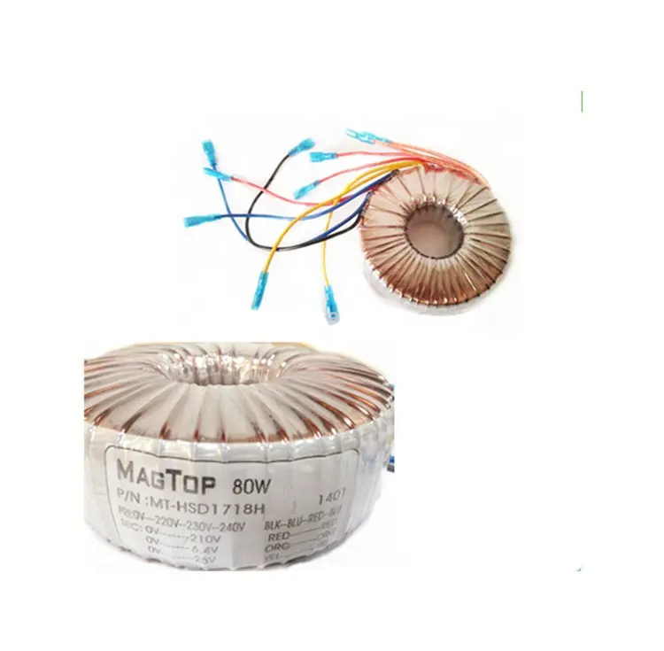 100W 200W 300W 400W 500W 3000W Toroidal elektronik transformatör