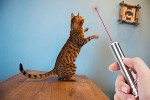 3 in 1 Mini torcia a LED in alluminio multifunzione ricaricabile Pet Cat Catch puntatore Laser giocattolo interattivo per esercizi - Product Image 4