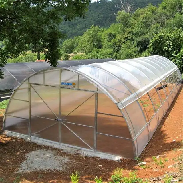 温室トンネル野菜栽培プラスチック