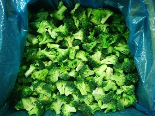 منتج جديد من الصين الخضروات المجمدة الخضراء بروكلي للبيع