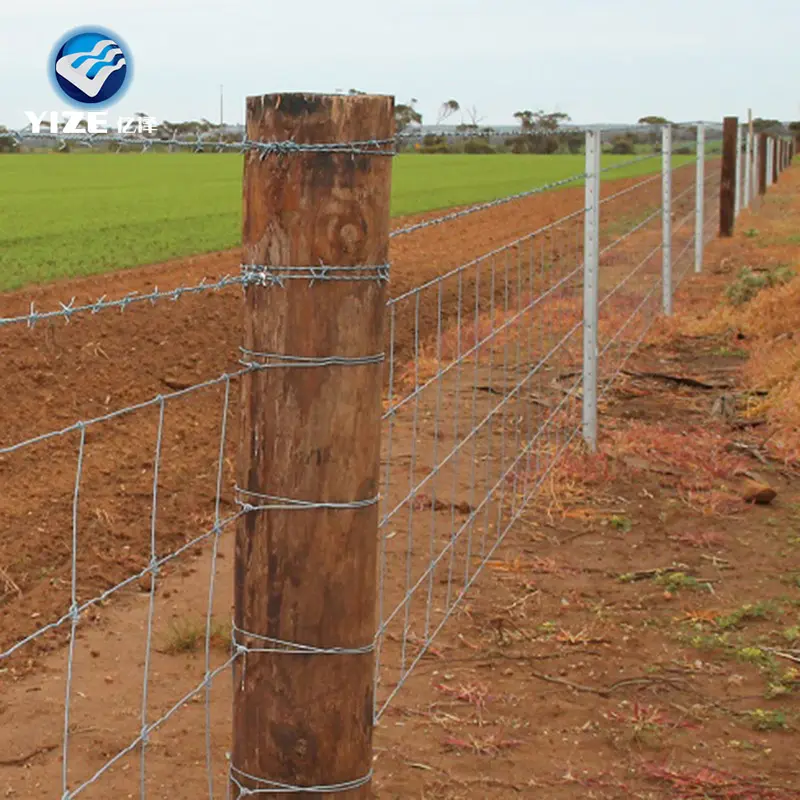 A buon mercato farm recinzione campo (bovini recinzione)/campo di recinzione della macchina (Cina fabbrica)