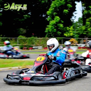 ミニゴーカート200cc/270cc <span class=keywords><strong>6.5HP</strong></span>/9HPプラスチック製安全バンパーパスCE証明書付き