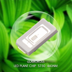 730nm 740nm 840nm 850nm 2835 5730 5050 3030 IR 0.2วัตต์0.5วัตต์1วัตต์ Smd Led ชิป - Product Image 6