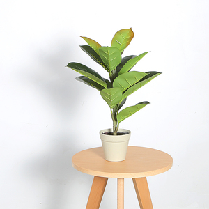50cm <strong>Artificial</strong> Indian Rubber <strong>Tree</strong> Bonsai <strong>Cheap</strong> <strong>Artificial</strong> Plant Manufacturers Low MOQ Can Be Customized