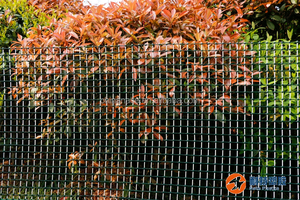 square Wire <strong>Mesh</strong> 4x4 Two Color Plastic Square <strong>Mesh</strong> /Chicken Wire Netting