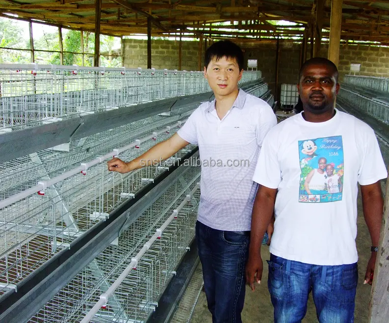 Jaula de batería con capa de pollo para pollo, popular en el mercado africano