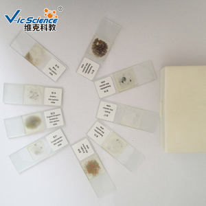 Microscopio mineral pulido diapositivas piedra sección diapositivas roca espécimen sección delgada diapositiva preparada - Product Image 4