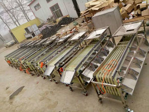 Automatico Data Rosso Classificazione Verdura Piccolo Patate Sorter Frutta Fresca Arancia Ordinamento Dado di Noce di Smistamento Macchina Per La Vendita - Product Image 3