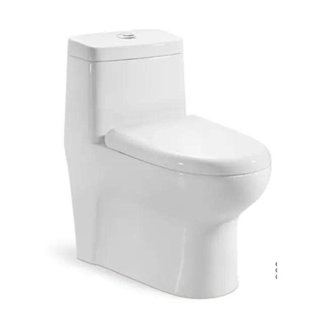 Water Closet Standard One Piece Toilet bagno in ceramica sanitari wc wc in ceramica monopezzo con doppio scarico