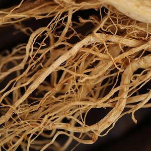 Erkekler için ücretsiz örnek Ginseng doğal toplu Panax Ginseng faydaları - Product Image 3