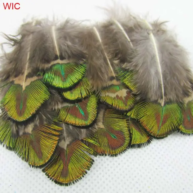 Fascinator Hair Decoration Peacock Feathers