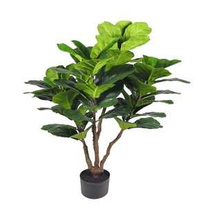 Hohe Simulation FCDle Leaves Künstlicher Ficus pandurata Hance <span class=keywords><strong>Tree</strong></span> Künstlicher Bonsai-Baum zum Verkauf