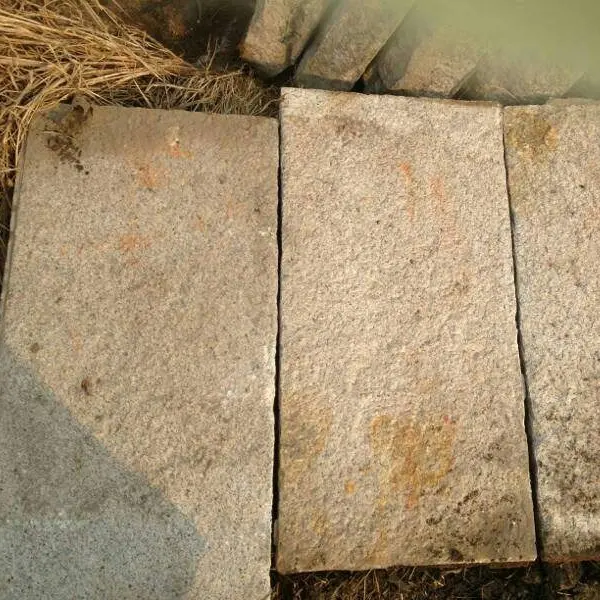 Pedra de passeio antiga reclamada do jardim