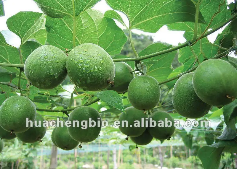 Biksu Buah Natural Sweeterner Pengganti Gula Biksu Buah Eryritol Granule