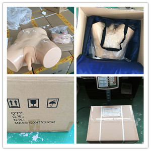 BIX-H1Dmedical Science <strong>Human</strong> Simulation Urethral Catheterization and Enema Training Model for Teaching and Learning Anatomy - Product Image 4