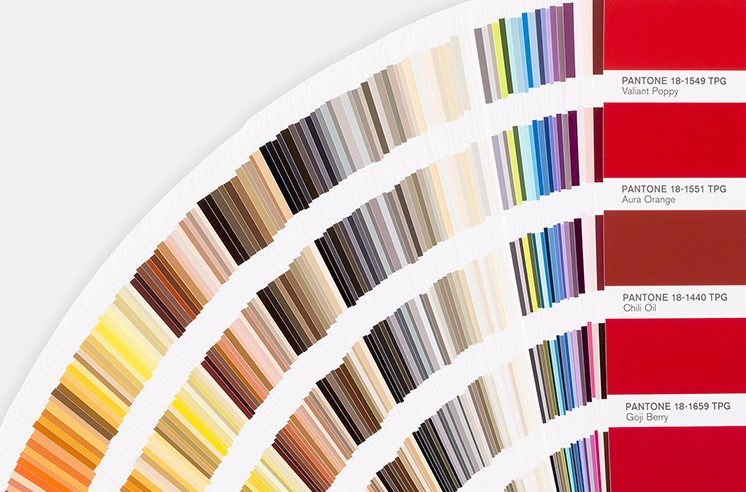 Contactez-moi pour d'autres couleurs