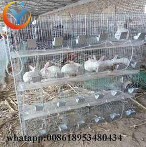 兔养殖箱设备金属兔工业用笼兔笼工厂出售