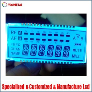 custom segment programmable <strong>lcd</strong> <strong>display</strong>