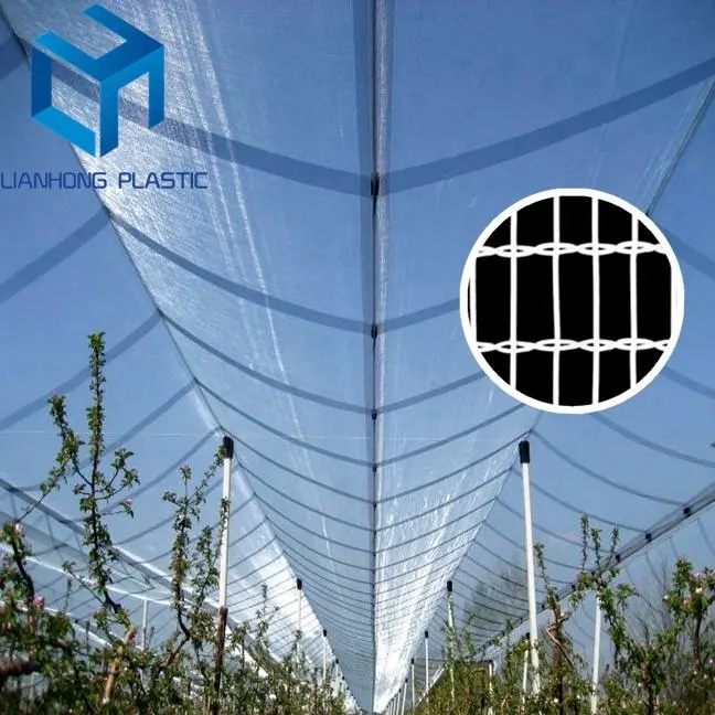 (shandong factory) orchard hail protection net , high quality apple tree anti hail net