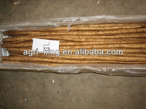 Chinese Fresh <strong>Burdock</strong> Root - Product Image 3