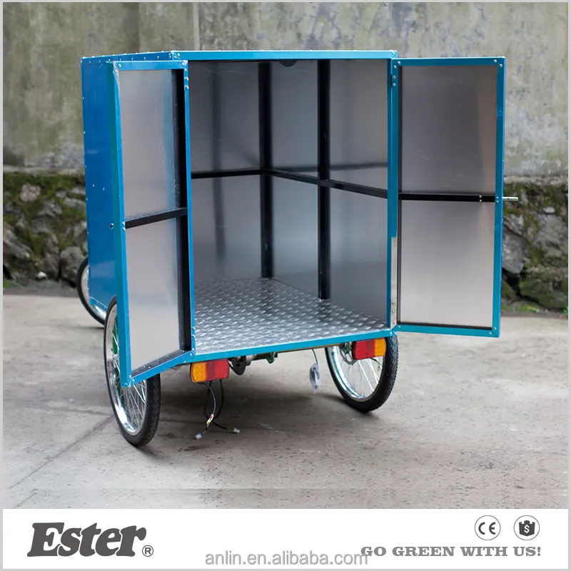 500 W Elettrico Assist Cargo Trike