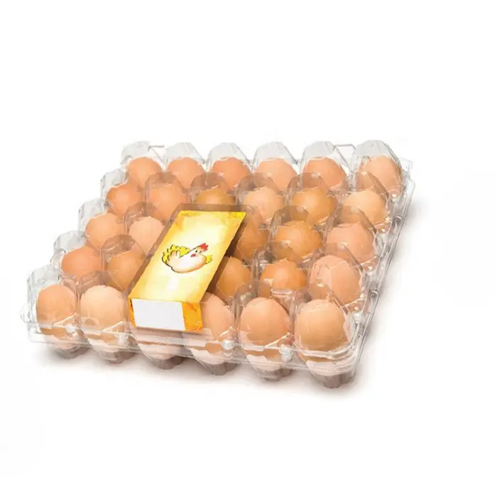 Vassoio per uova in plastica usa e getta in blister da 30 celle per uova di gallina vassoio per imballaggio di uova a conchiglia