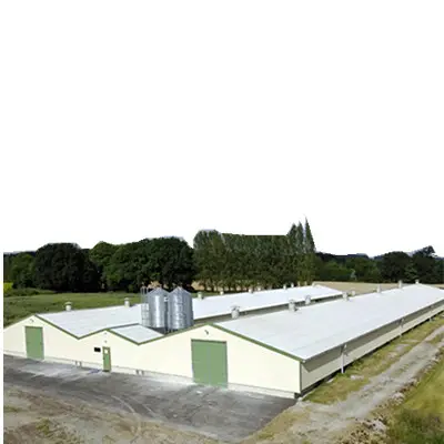 Construcción rápida Pollos de rango libre Estructura de acero Prefab Steel Poultry Farm Sheds Barn House