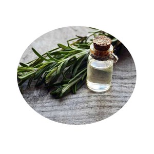 Rosemary Powder Extract,100% Pure Rosemary Leaf <strong>Extrat</strong>