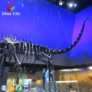 2025 alta simulação museu nível modelo mão feita dinossauro esqueleto fóssil